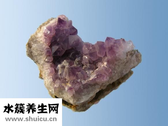 三文鱼的功效与作用