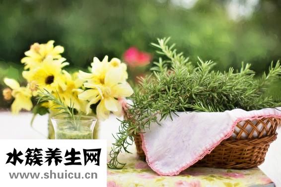 嗜睡症的表现
