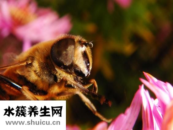 拔牙后头疼