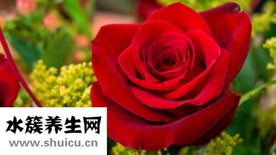 嗜睡症的表现