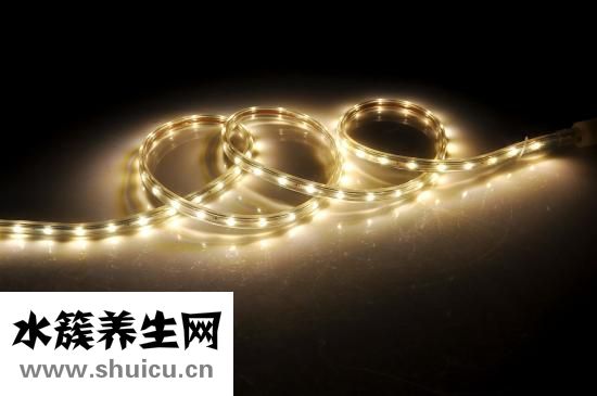 三棱的功效与作用