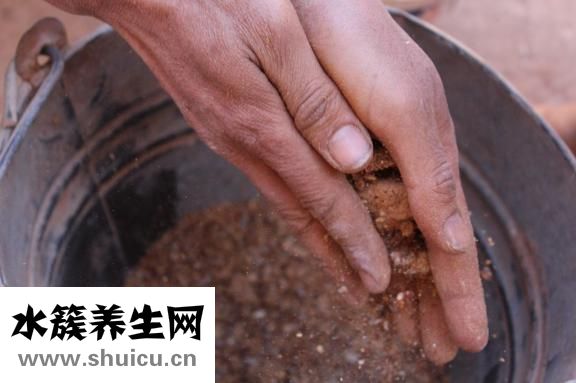 七步洗手法的步骤