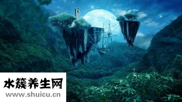 不会说话怎么办