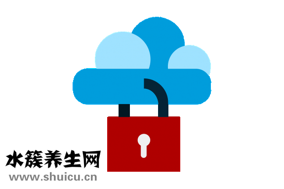 什么蔬菜吸脂减肥