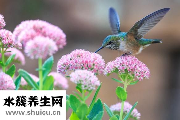 什么口罩好