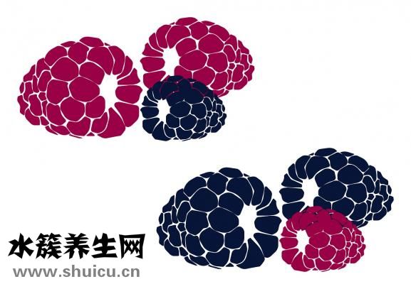 人体微量元素