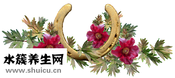 孕妇可以吃马蹄
