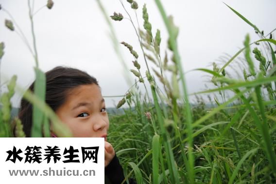愈酚甲麻那敏颗粒