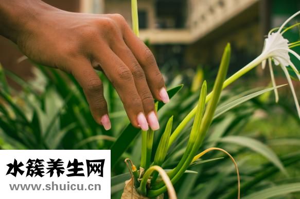 宫颈检查怎么做