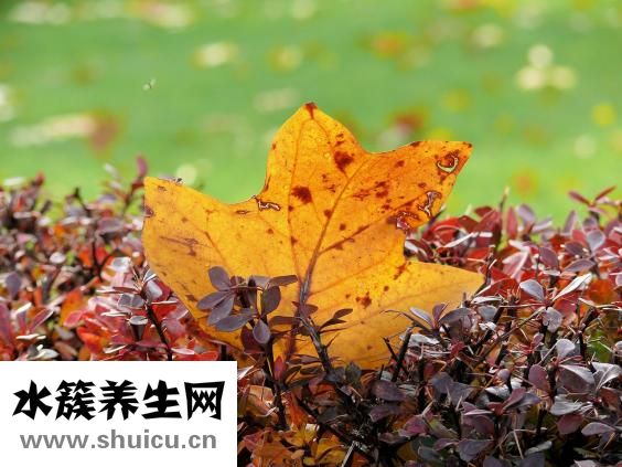 怎样美容护肤