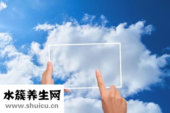孕妇能吃鱼胶吗