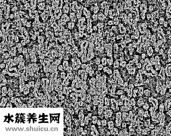 头癣怎么治才能断根
