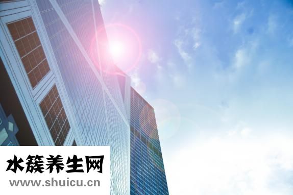 心悸的意思