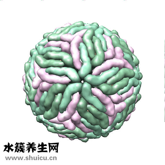 愈酚甲麻那敏颗粒