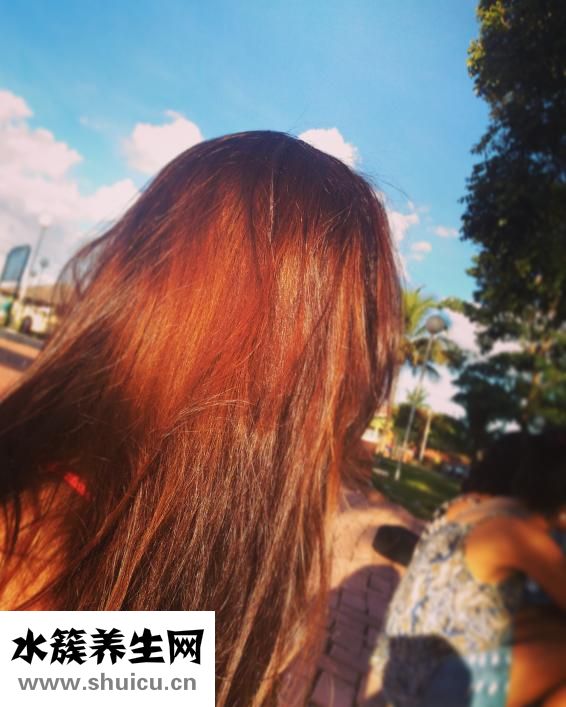 头发出油怎么治