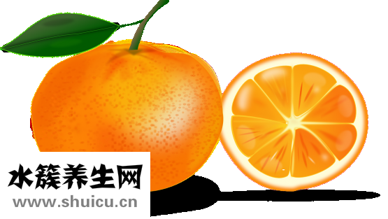 头发出油怎么治