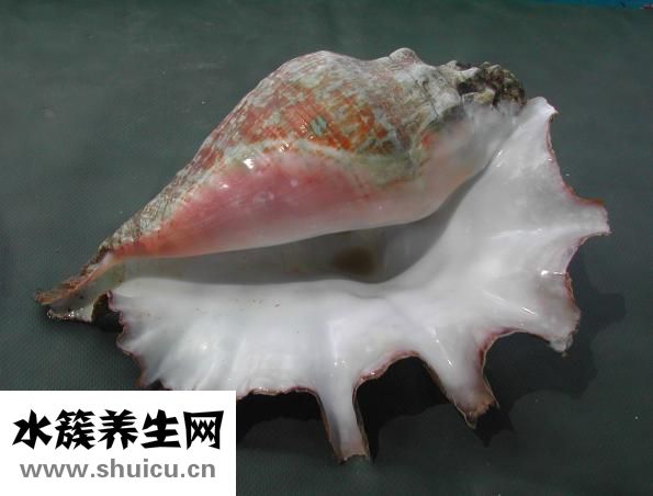 小米糕怎么做