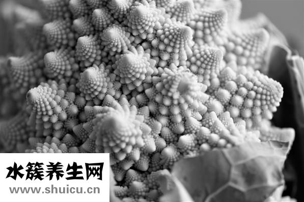 孕妇喝哪种奶粉好