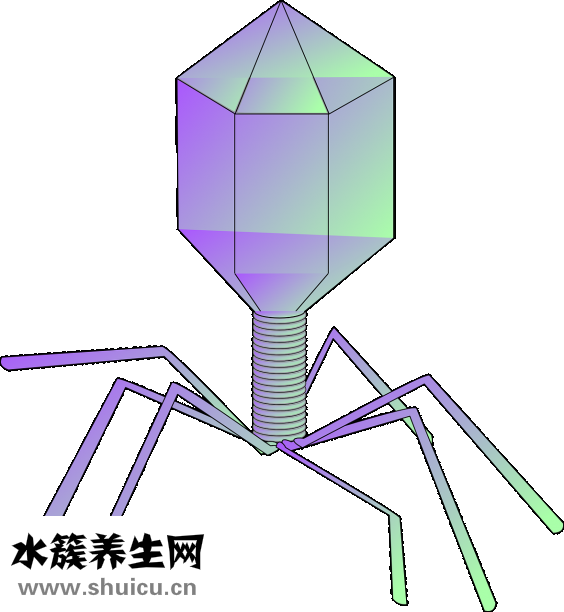 人体微量元素