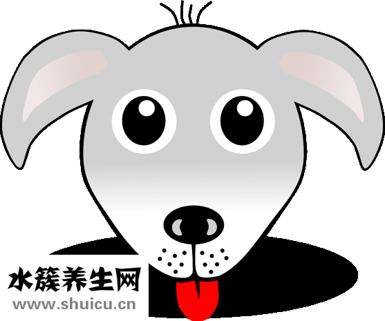 掏耳朵工具