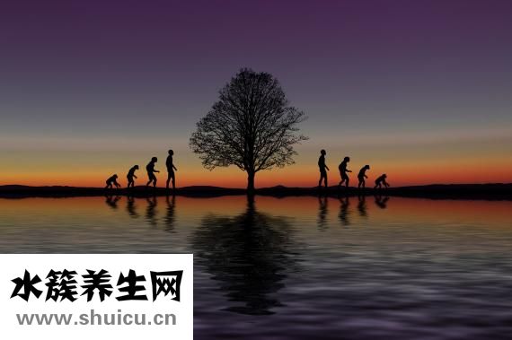 山药是不是发物