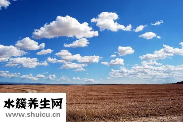 婴儿抽搐症状表现