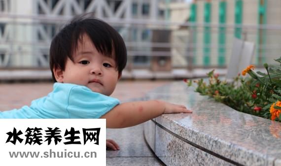 孕妇吃什么鱼