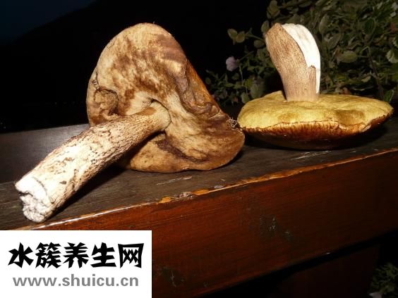 孕妇能吃芒果