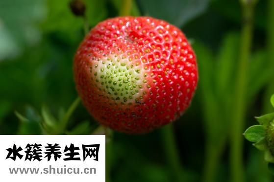 一个角一个瓜