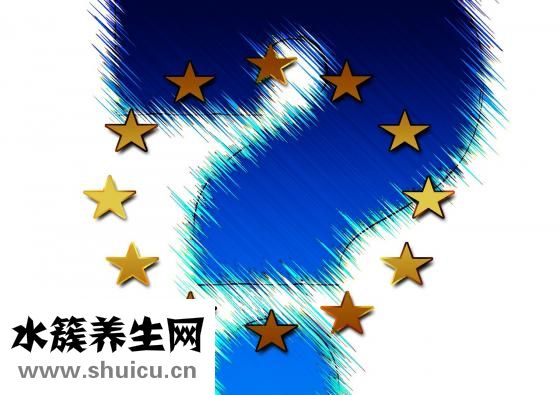 动物内脏知多少？问与答