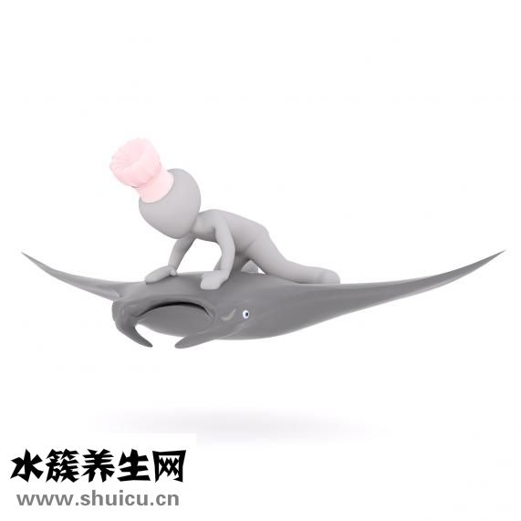 无精症表现