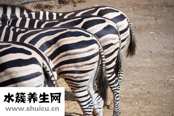为什么一直放臭屁
