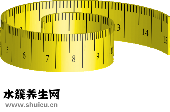 体温调节中枢在哪里