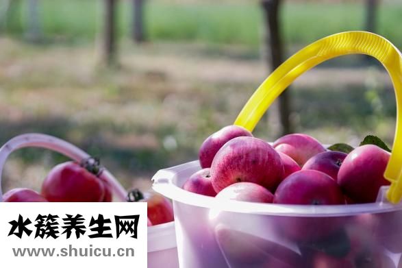 提神的饮料有哪些