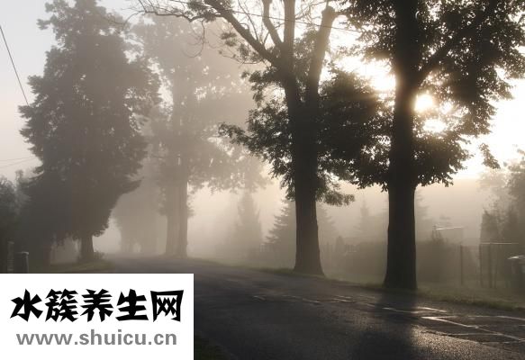 人参怎么吃才好