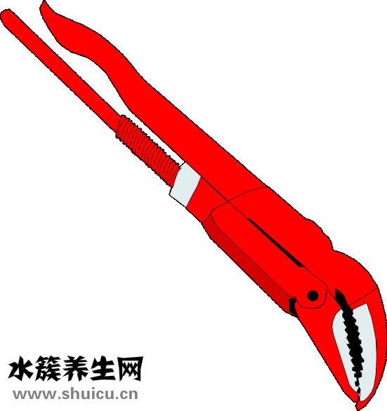 什么是辟谷减肥