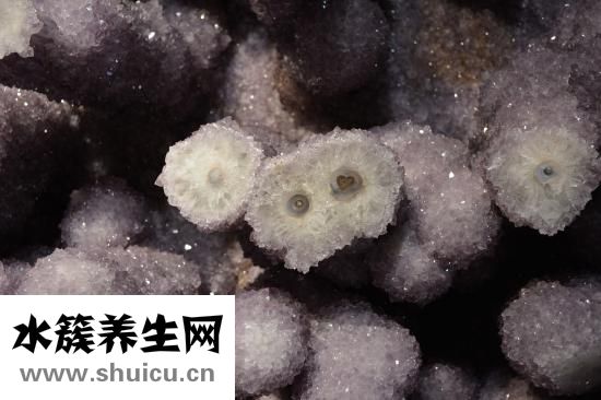 孕妇可以吃青团吗