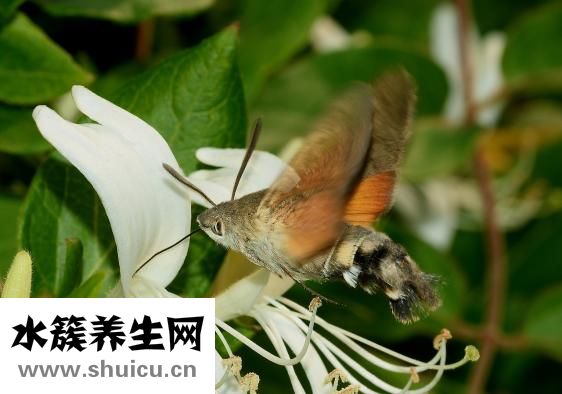 学习艾灸的地方