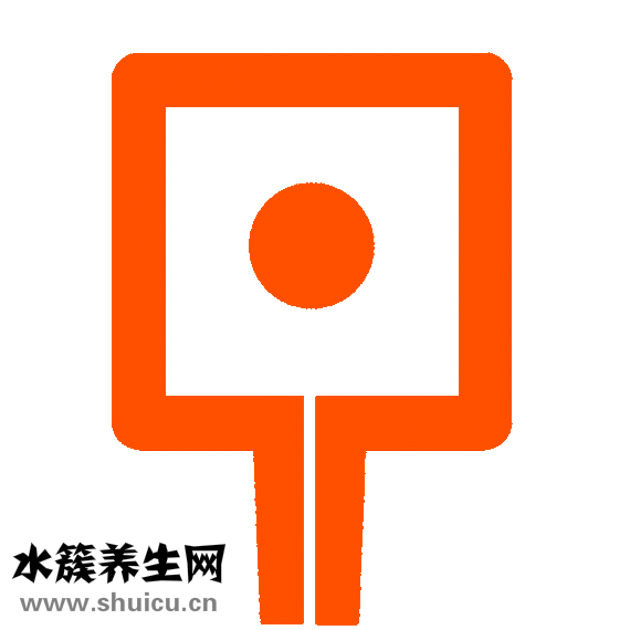 无精症表现