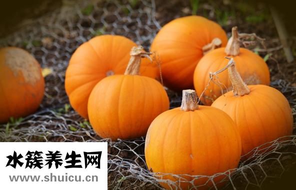 什么粥养胃
