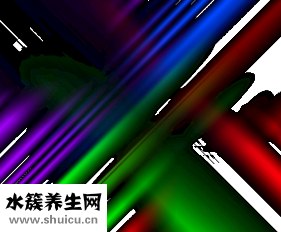 提高精子质量