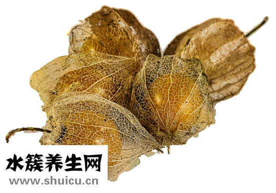 晚上吃蔬菜会胖吗