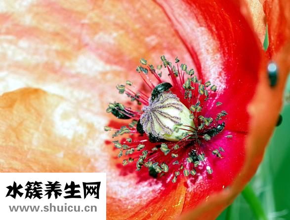 心电图怎么做
