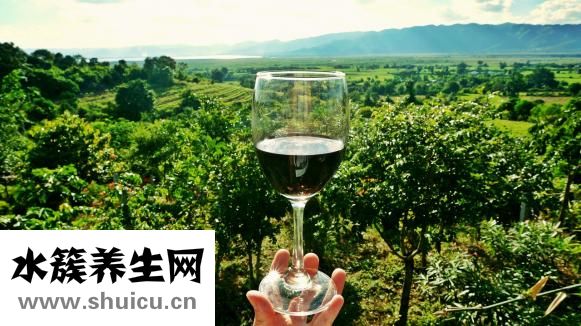 什么叫心血管系统？