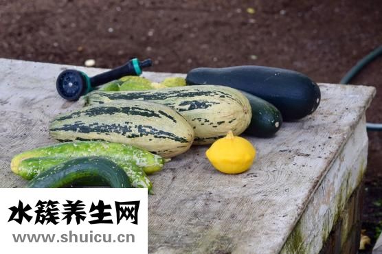 上火吃什么菜