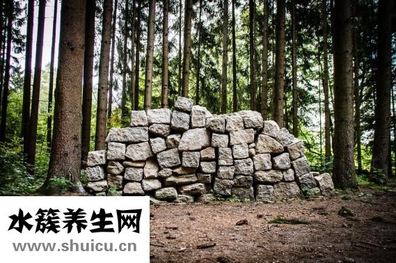 头皮屑大块