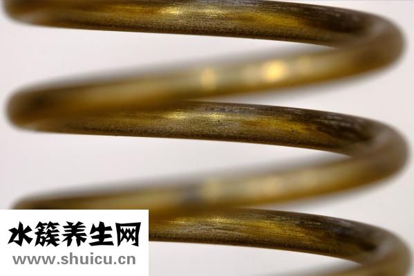 增肌训练方法