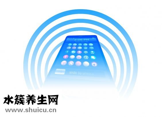 养胃吃什么好