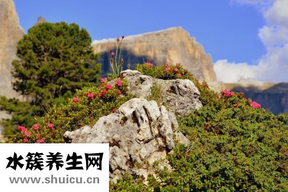 右下小腹疼痛