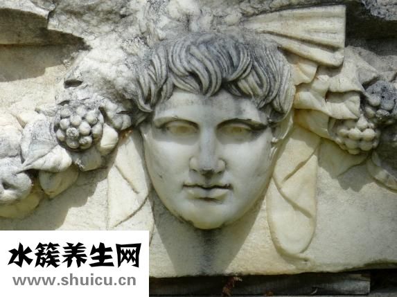 一共有多少颗牙